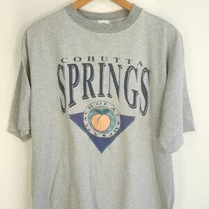 Vtg Cohutta Springs Georgia Graphic T-Shirt Mens XL Gray White Stripe Belton 90s